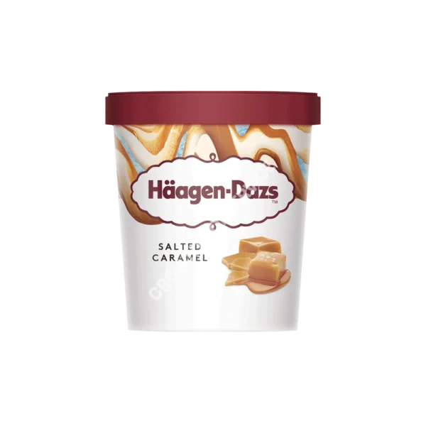 Salted Caramel 8x460ml (Haagen-Dazs)