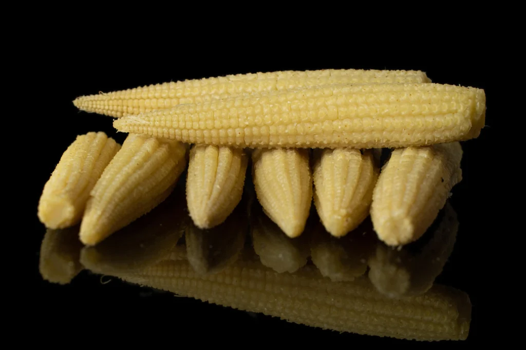 baby corn on a black background can dogs eat sweetcorn safely
