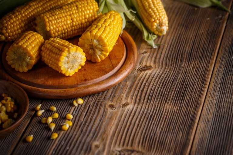 Fresh boiled sweetcorn on a wooden table can dogs eat sweetcorn safely